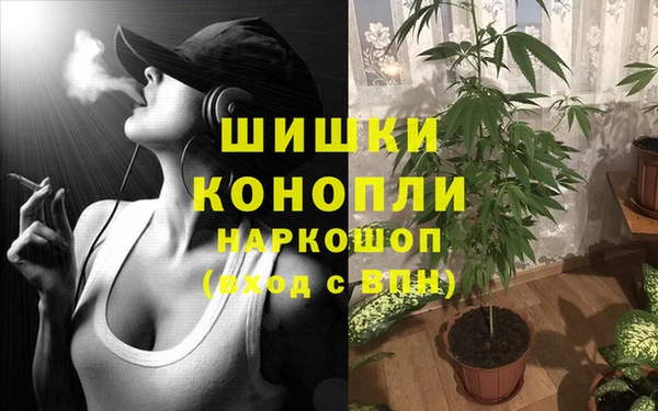соль ск Михайловск
