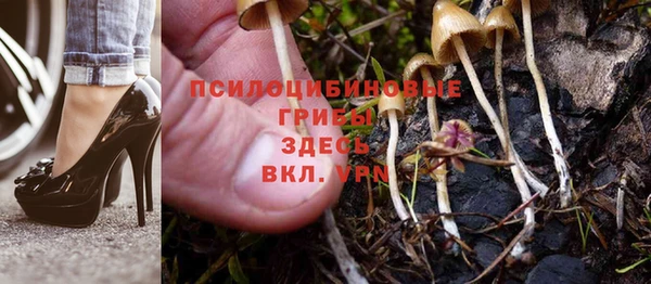 кокаин перу Михайлов